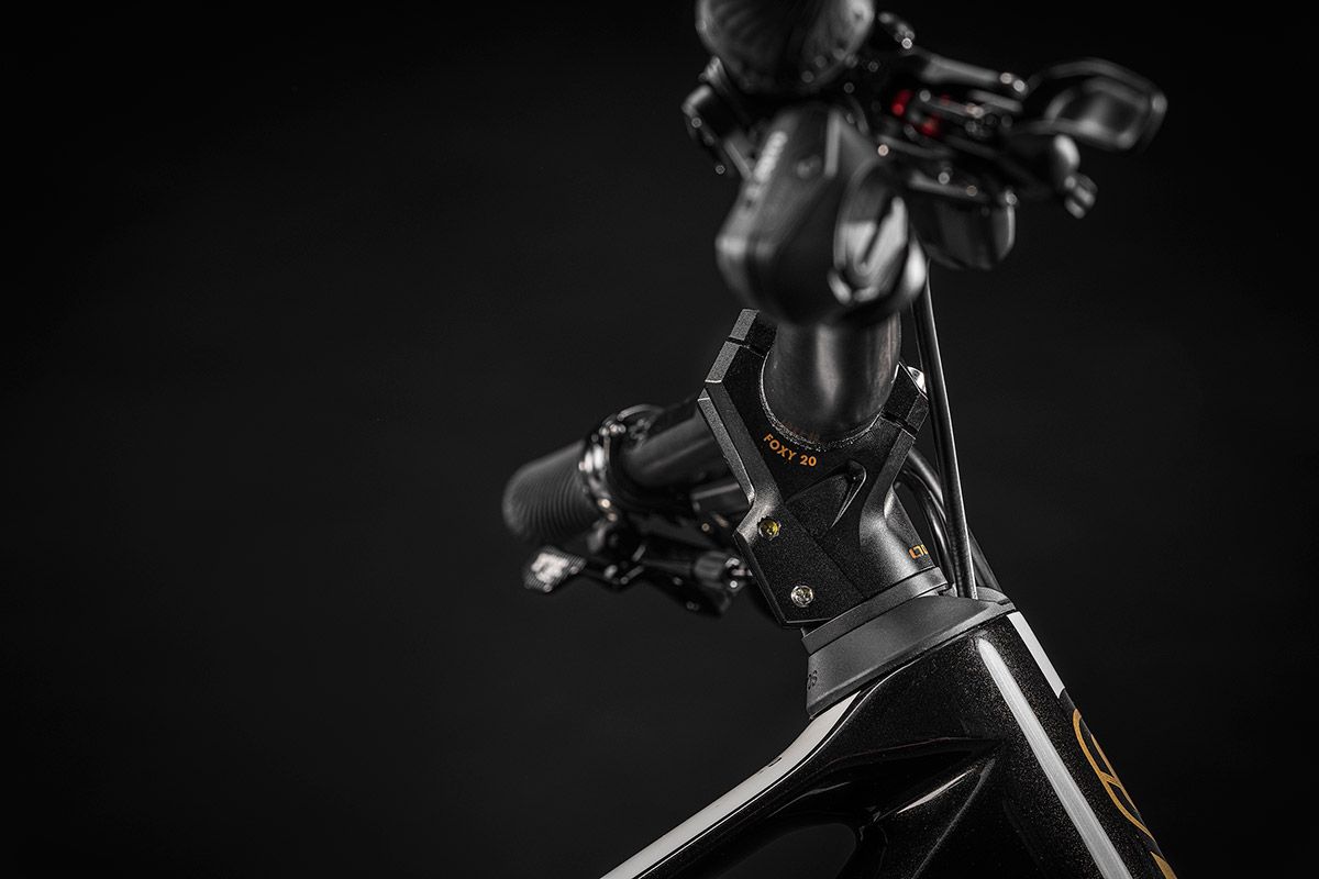 Mondraker Foxy 20 aniversario 14