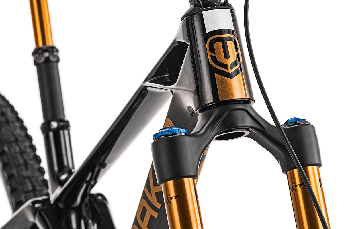 Mondraker Foxy 20 aniversario 15