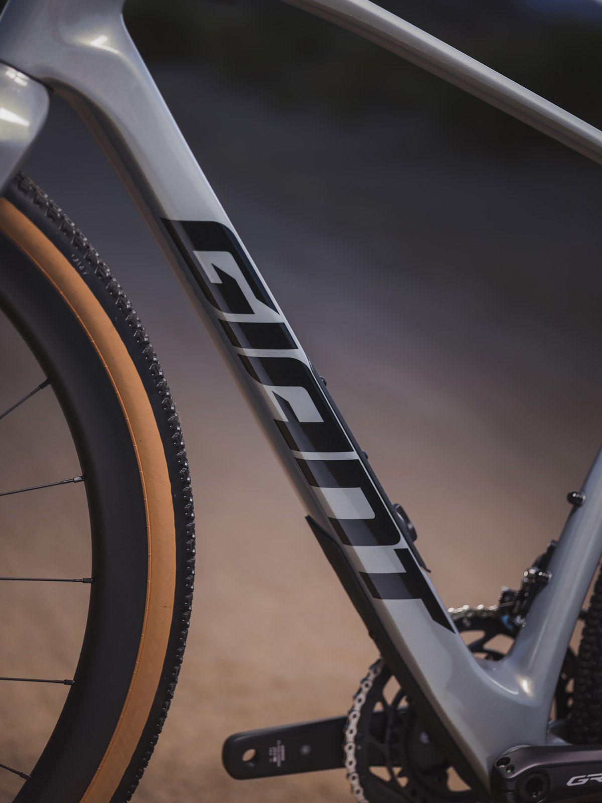 Giant Revolt Advanced 0 39