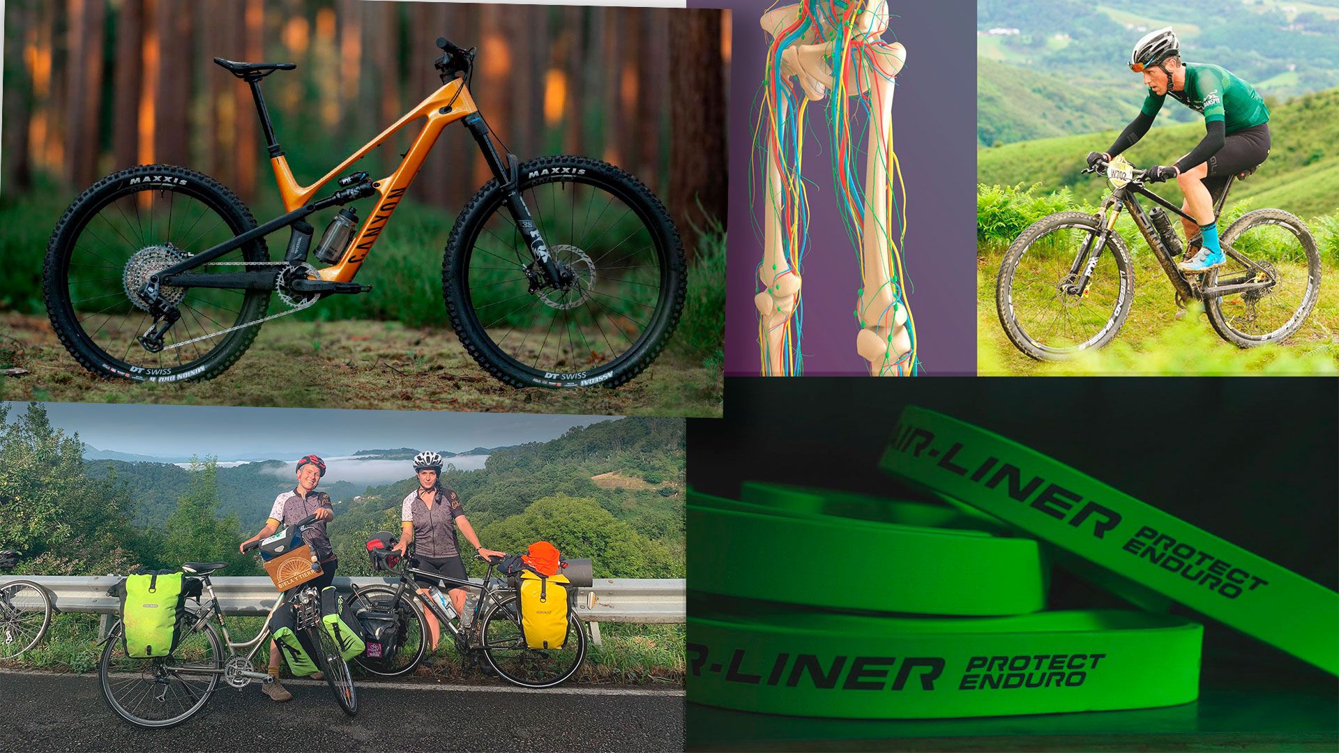 Top 10 MTB