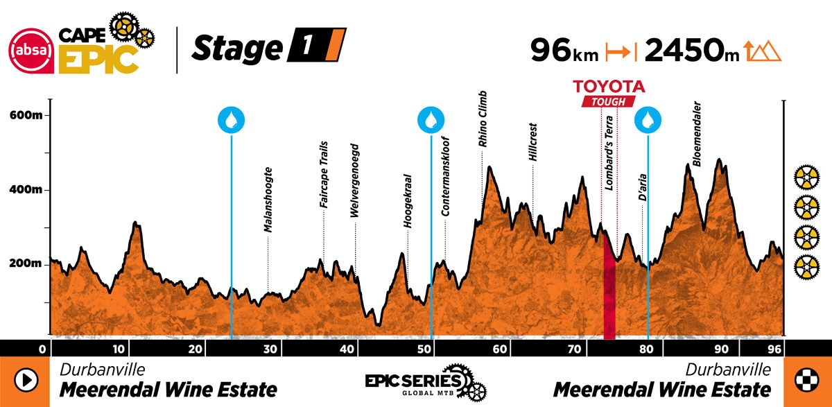 ACE25 Profiles Stage 1