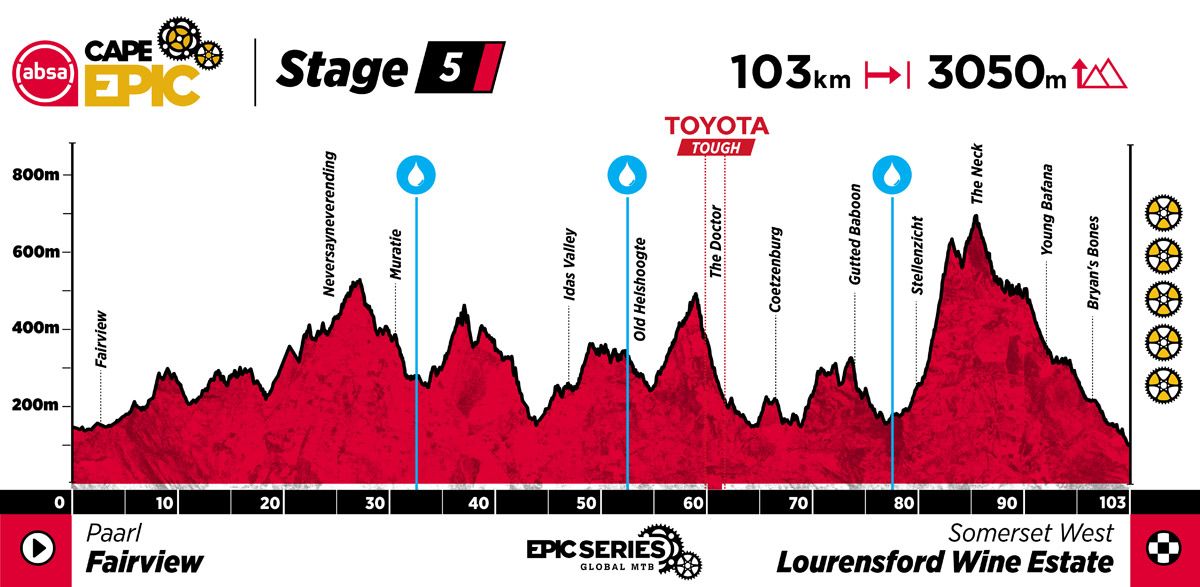 ACE25 Profiles Stage 5