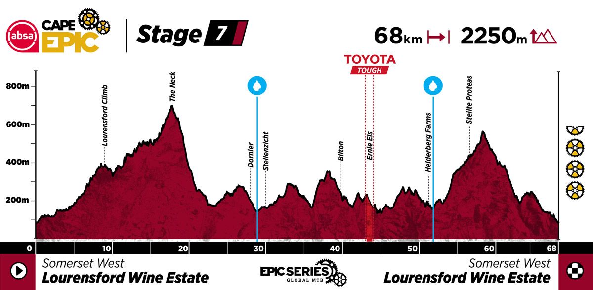 ACE25 Profiles Stage 7