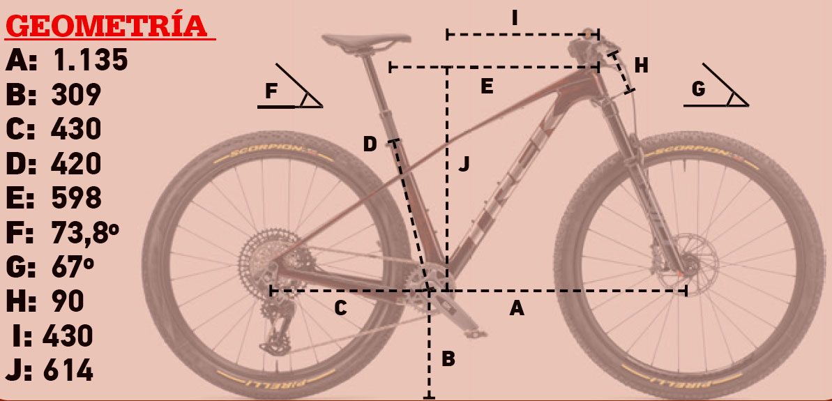 geometria geometria