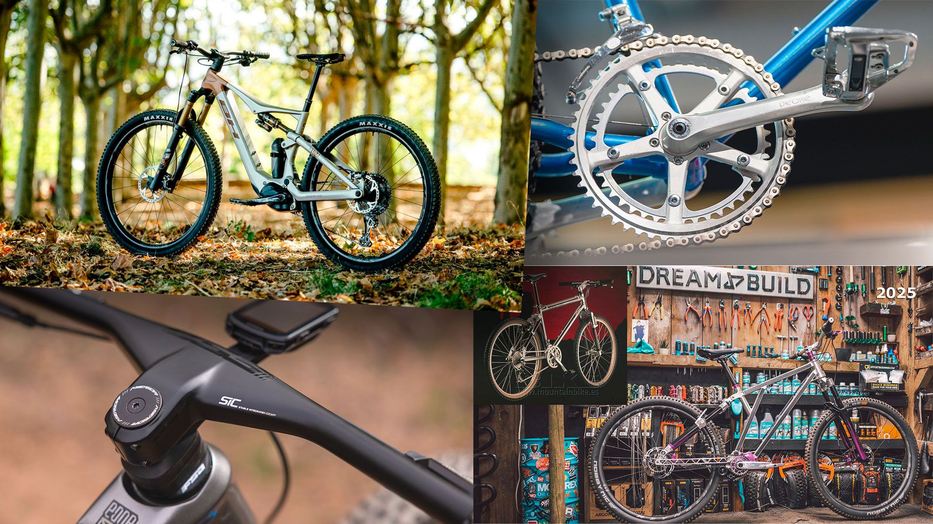 Top 10 MTB