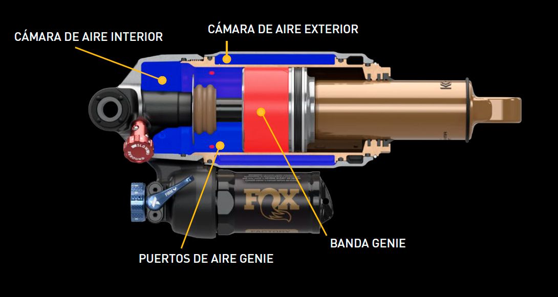 Sin título 2