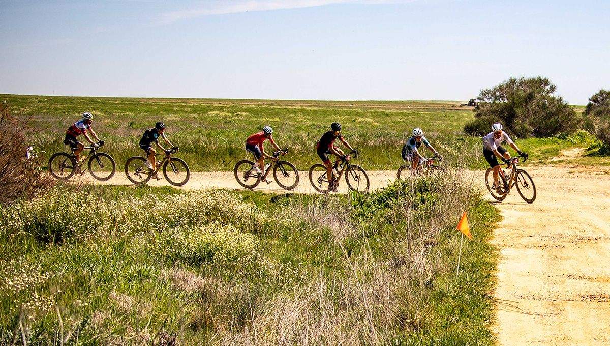 GTC Etaoa 2 260 GTC Etaoa 2 260