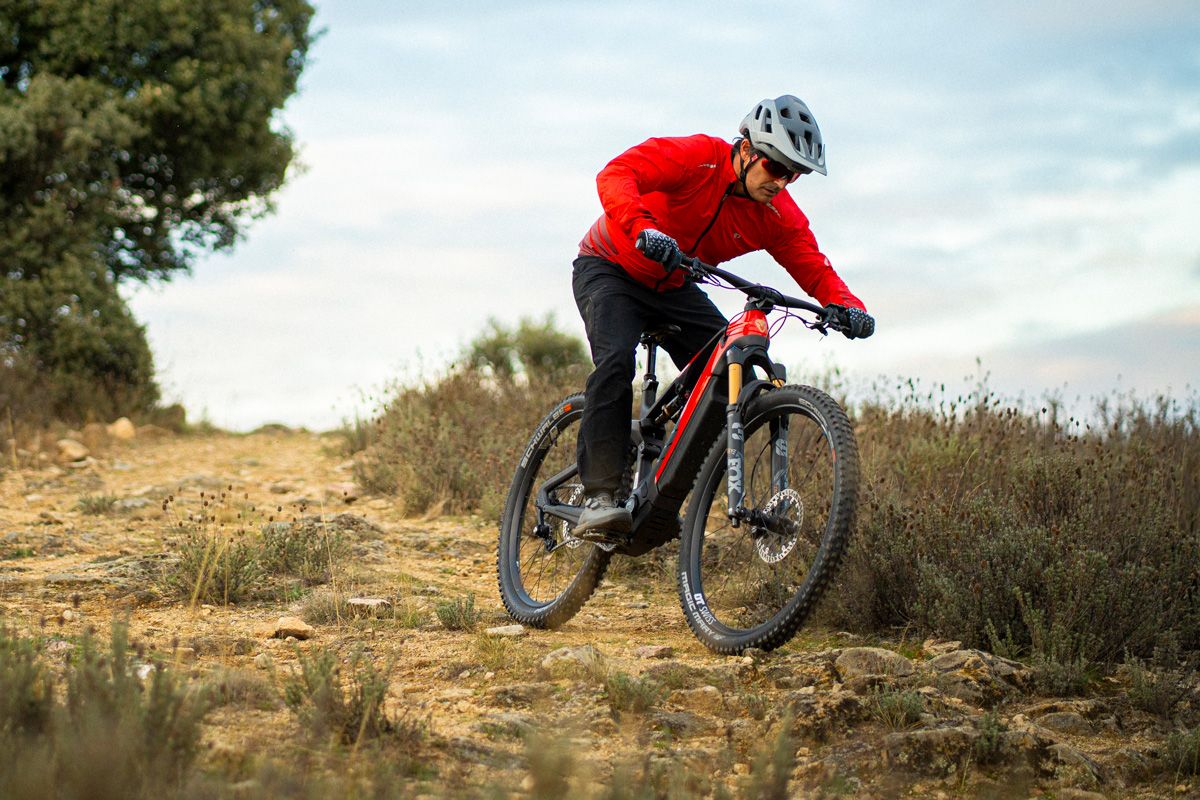 Accion Rotwild RX 100004