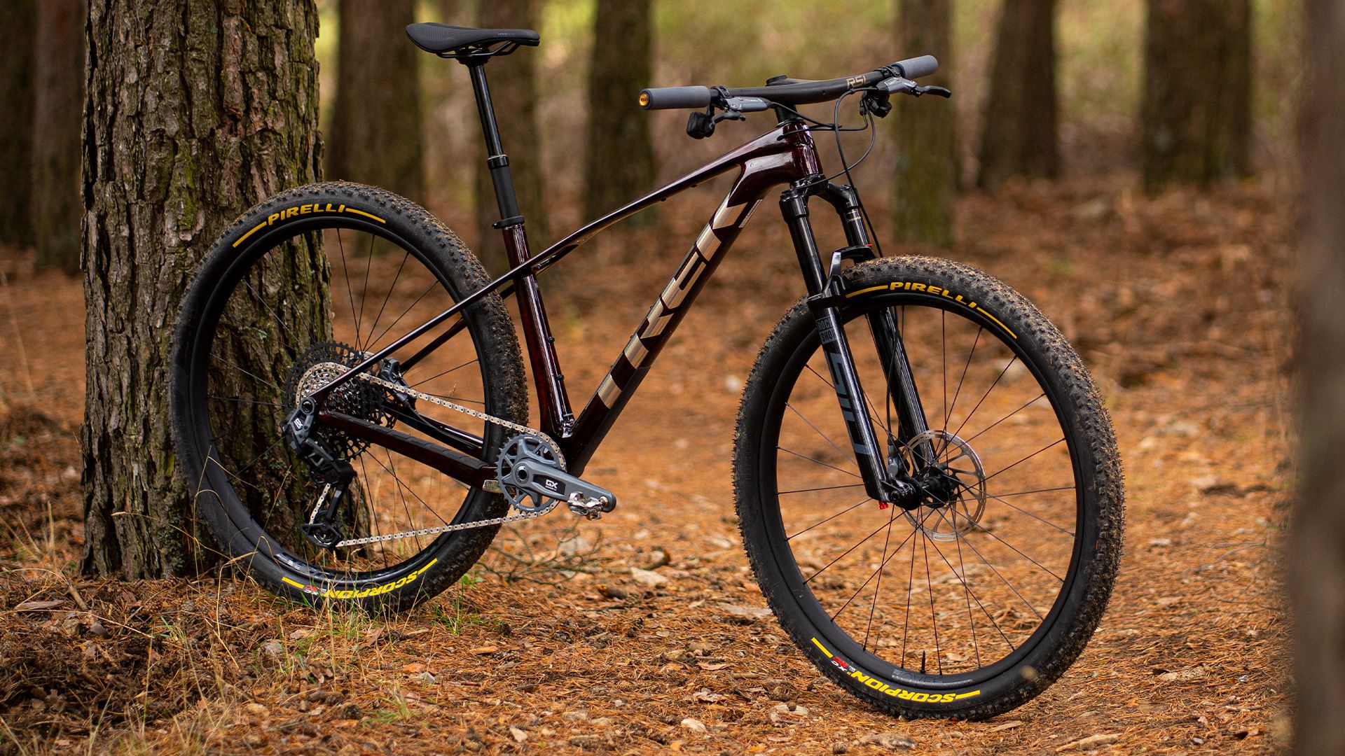 Trek Procaliber 9.7 AXS GEN 3