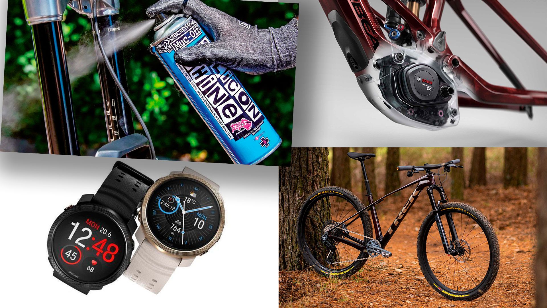 Top 10 MTB