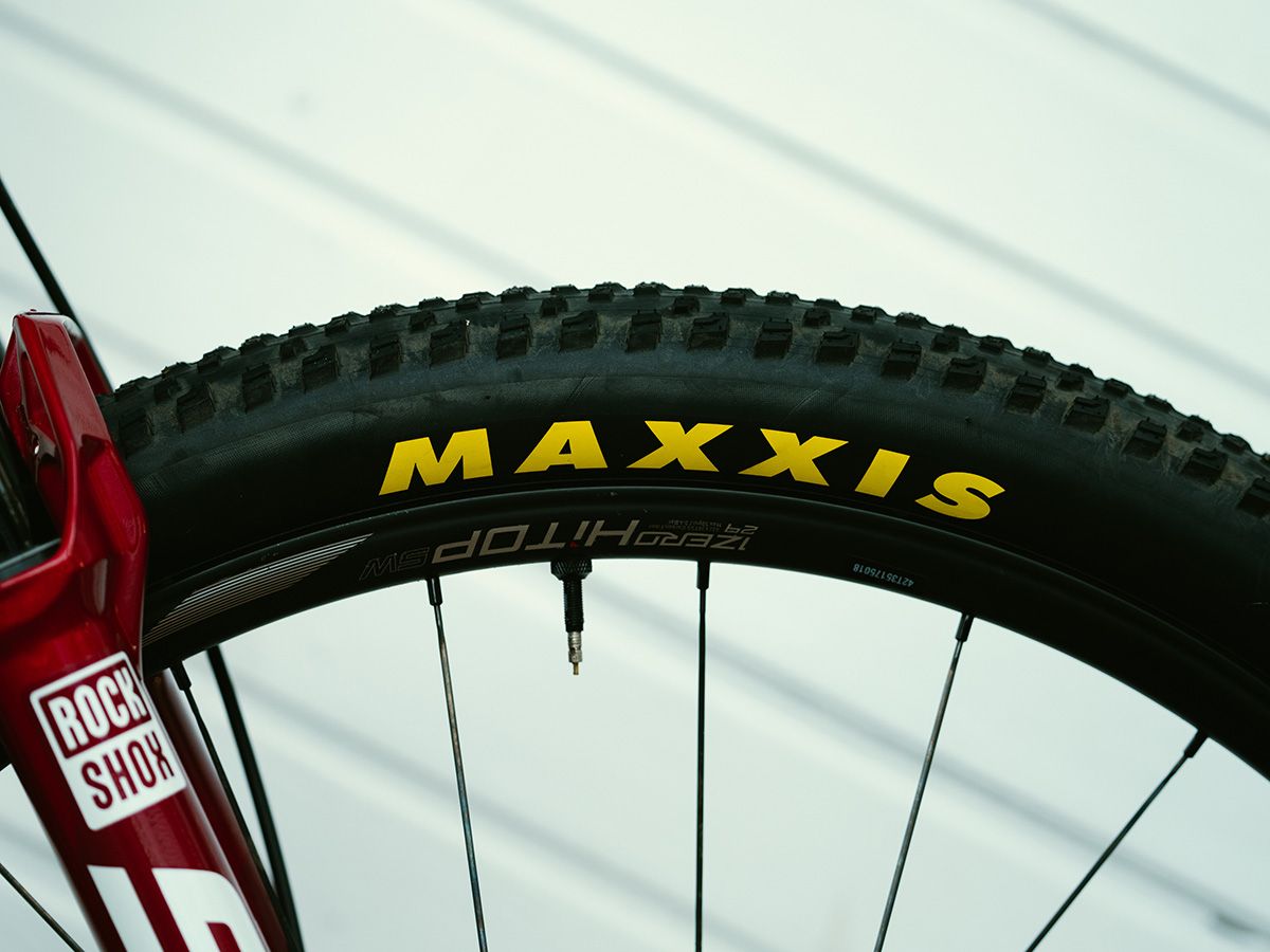 La BH Lynx Race de Tiago Ferreira para la Cape Epic 2025 
