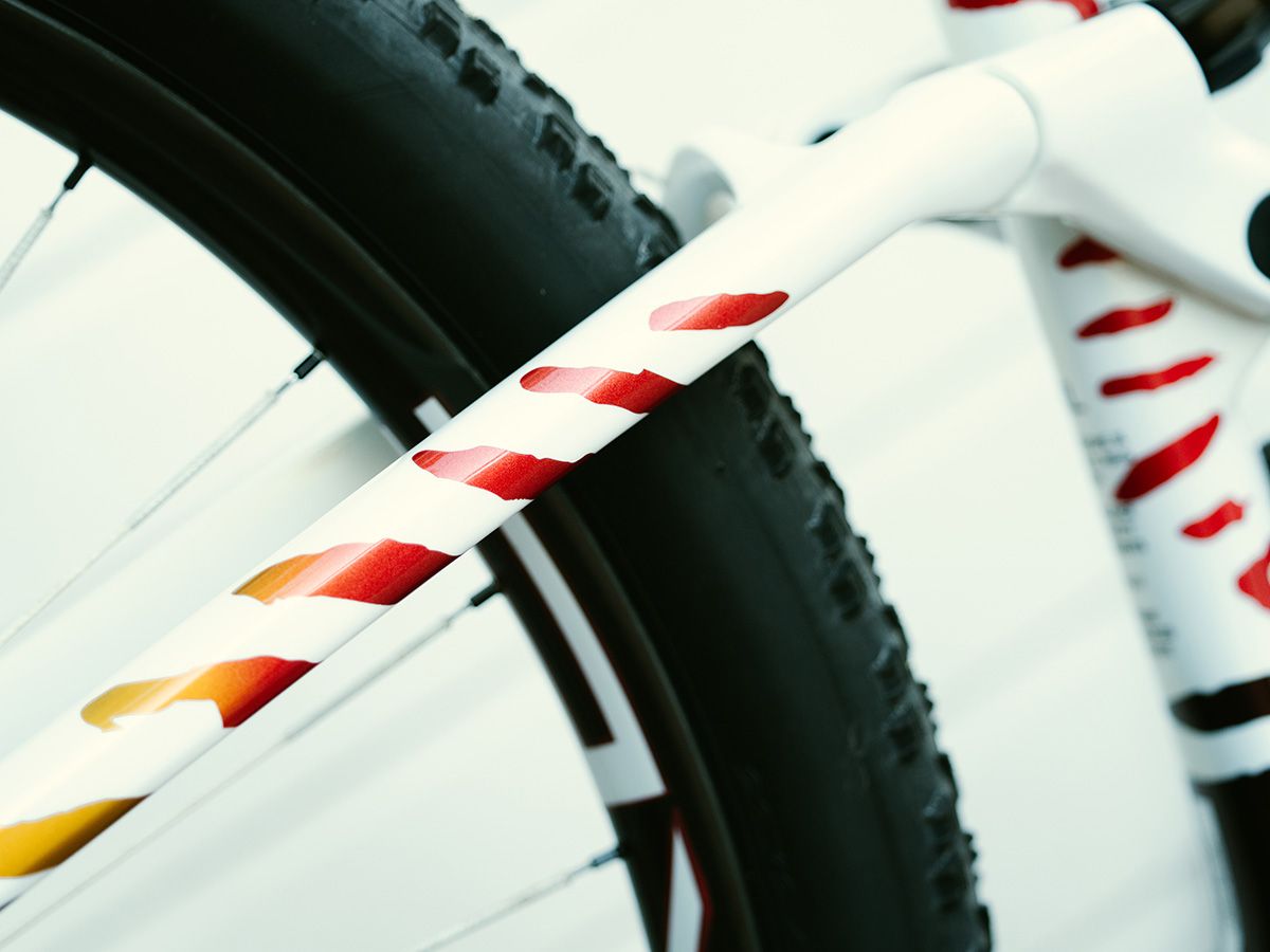 La BH Lynx Race de David Valero para la Cape Epic 2025