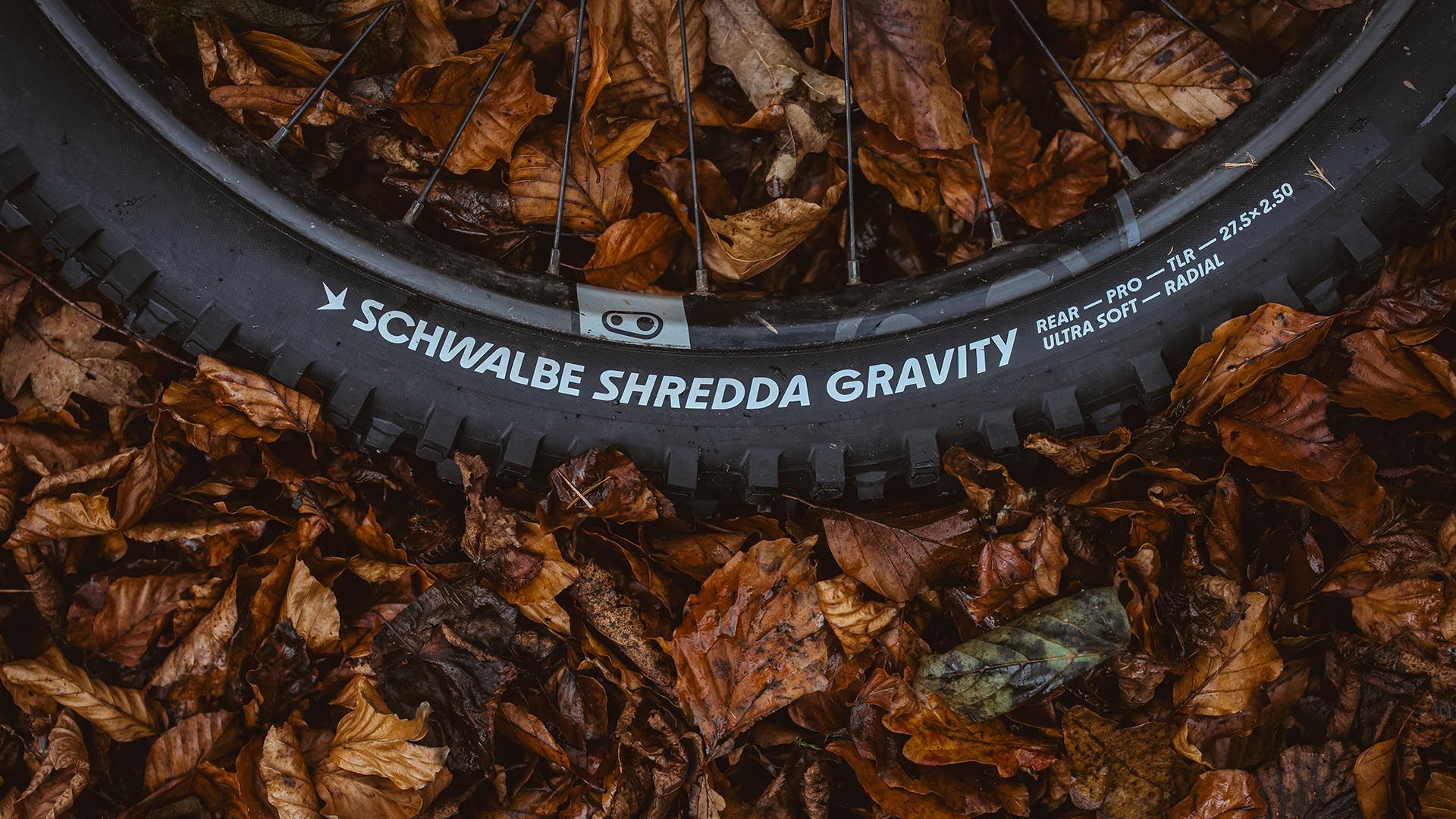 Schwalbe Radial