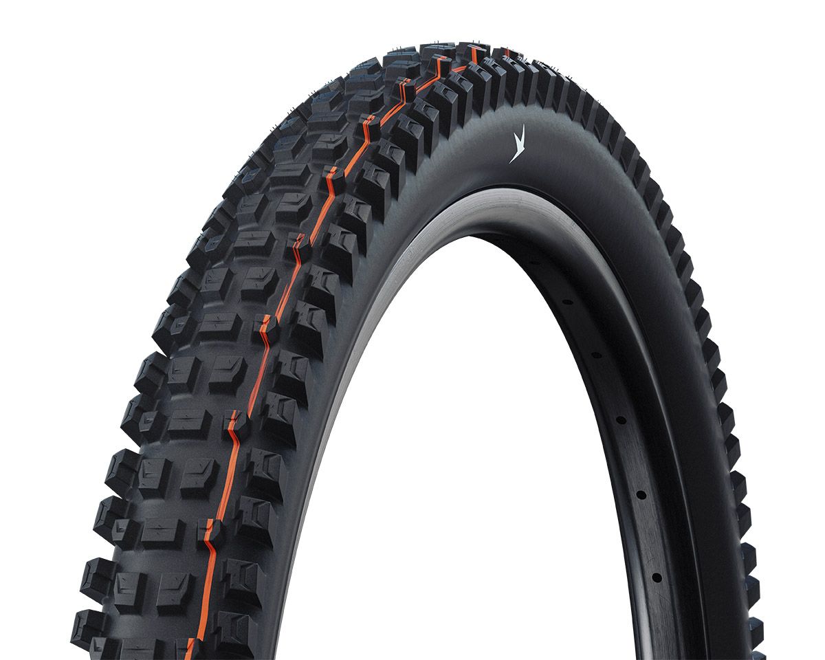 Schwalbe Albert Gravity Radial