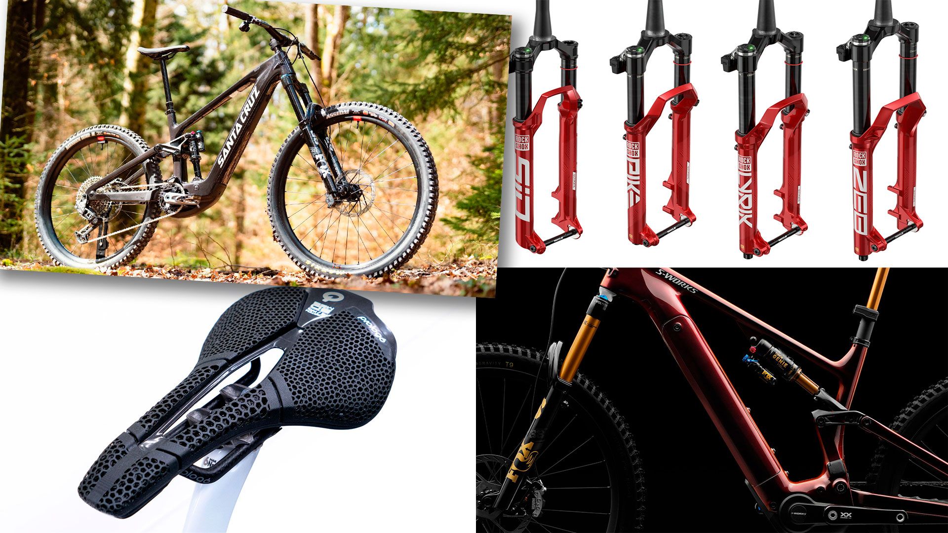 Top 10 MTB