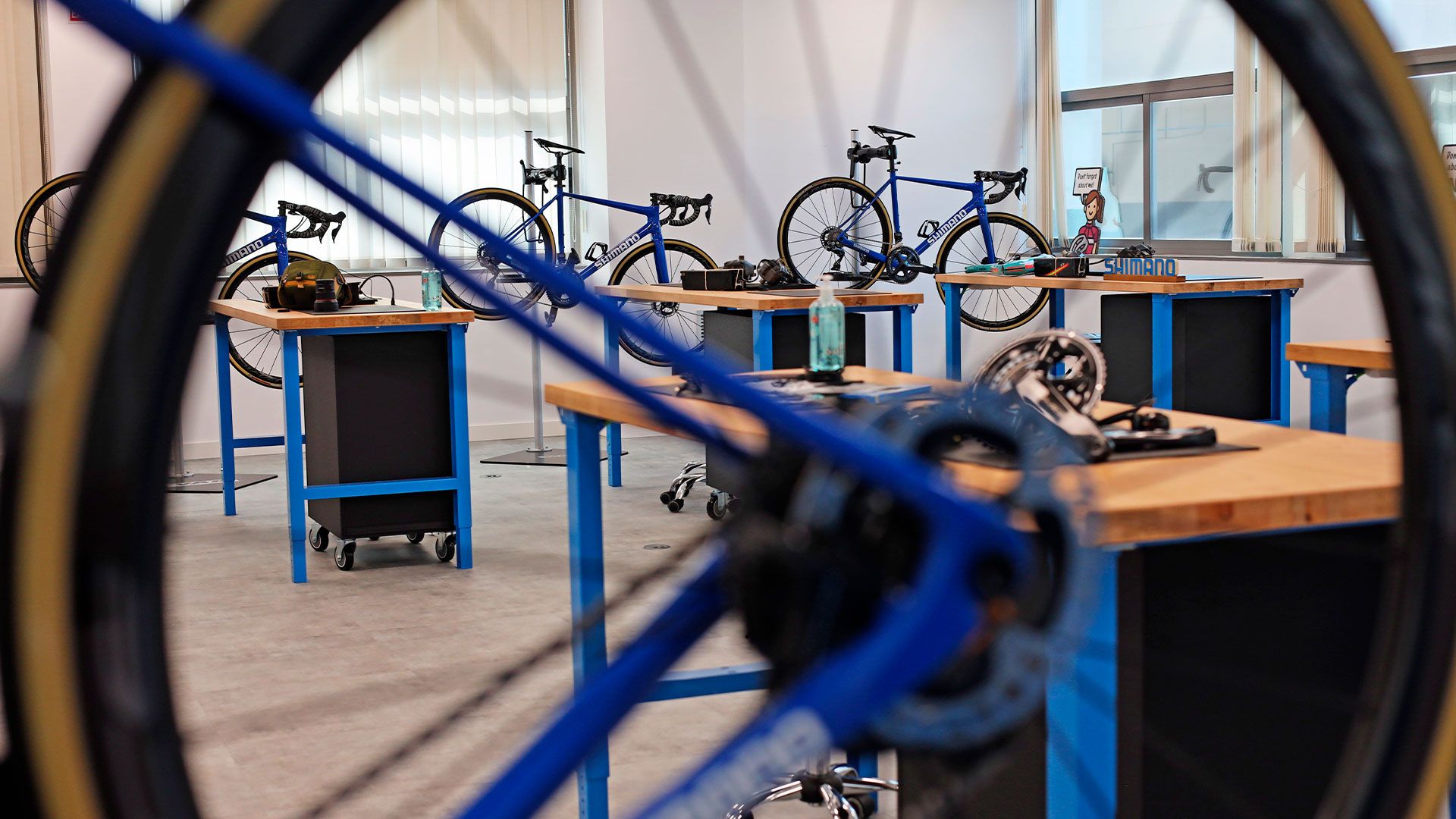 Shimano Academy lanza sus cursos de formación 2025 para profesionales del ciclismo