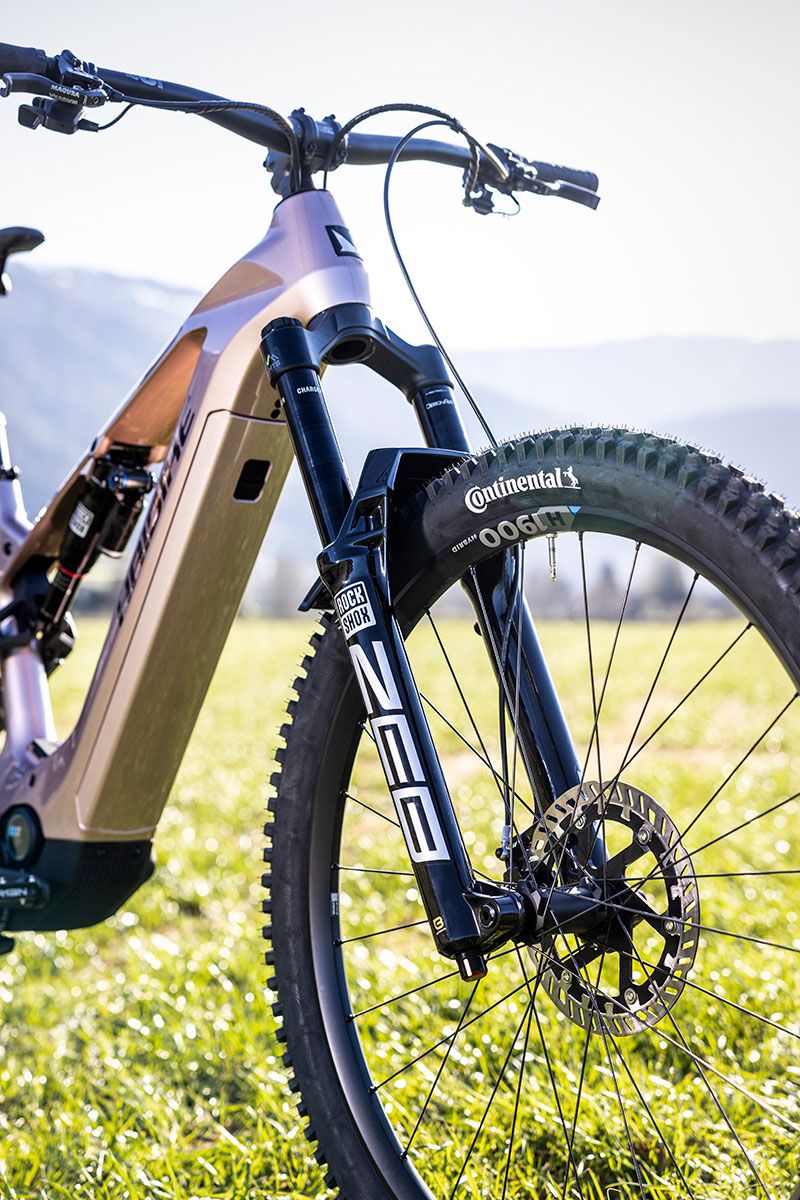 HAIBIKE AllMtn TRNIQ Detail front suspension