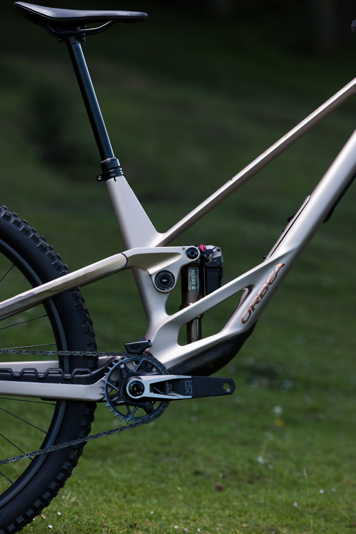 ORBEA   RALLON25   BIKECHECKS MYO   8