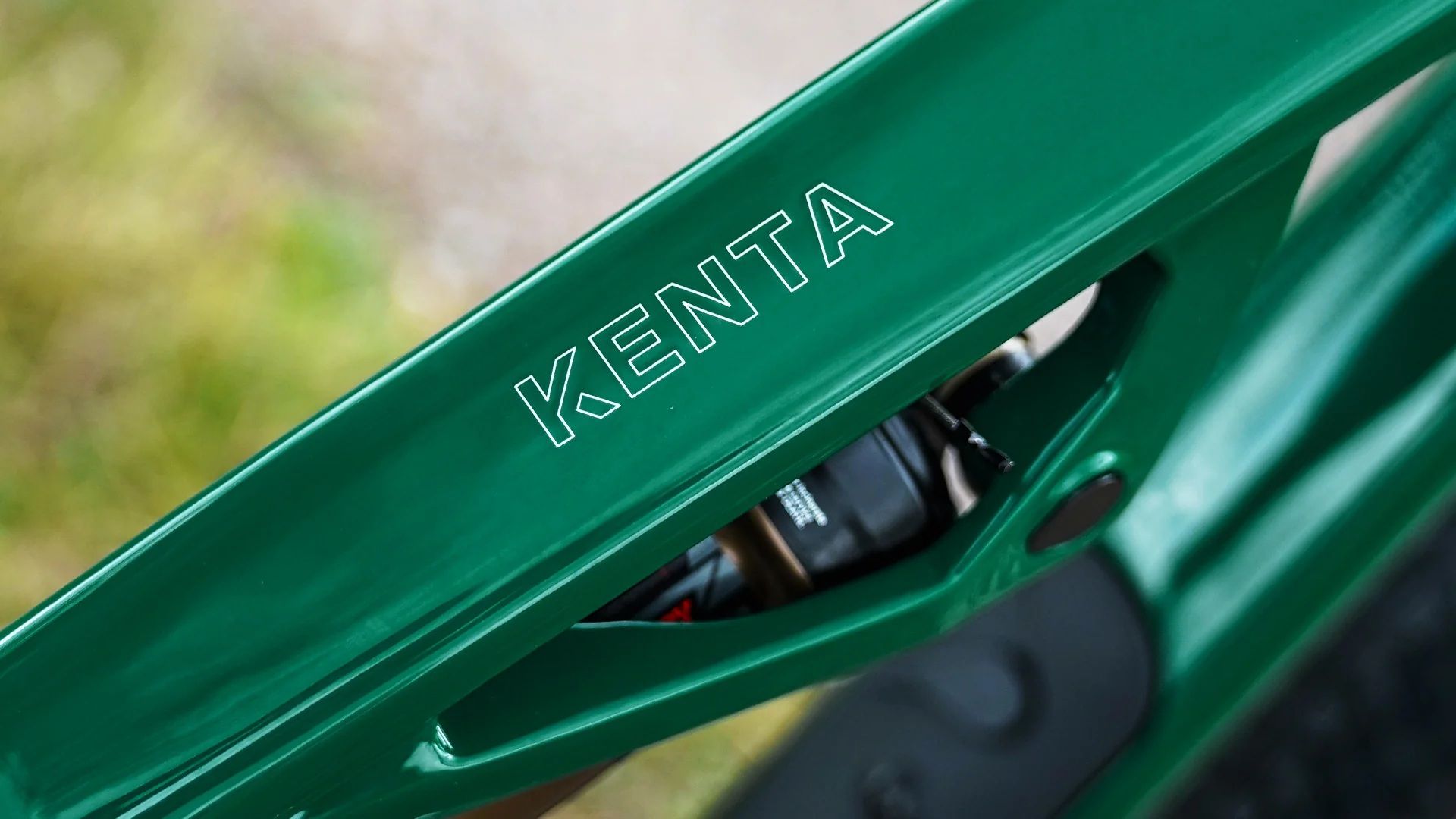 kenta 2025 pine