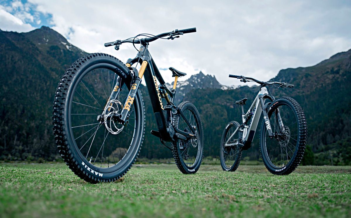 Two Bike static Jungle Two Bike static Jungle