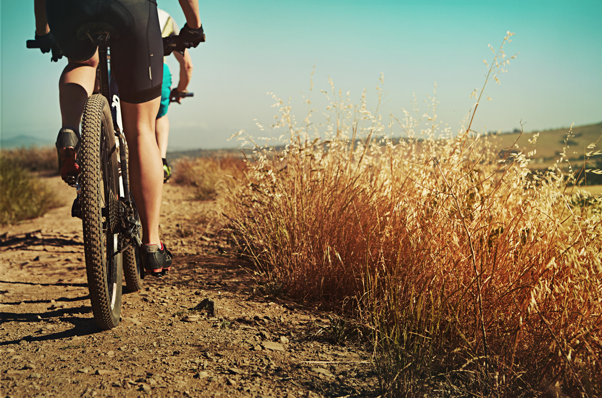 Garrapatas y mountain bike. Ojo, es la temporada alta detalle 3