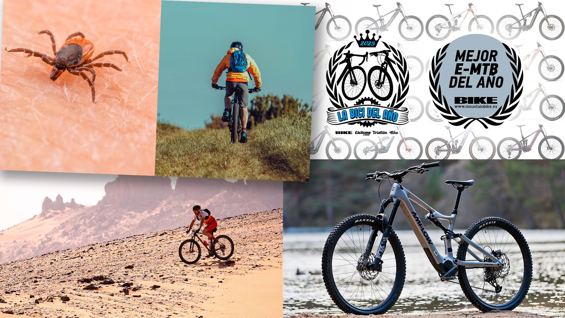 Top 10 MTB