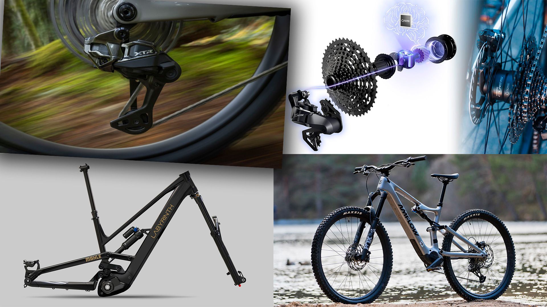 Top 10 MTB