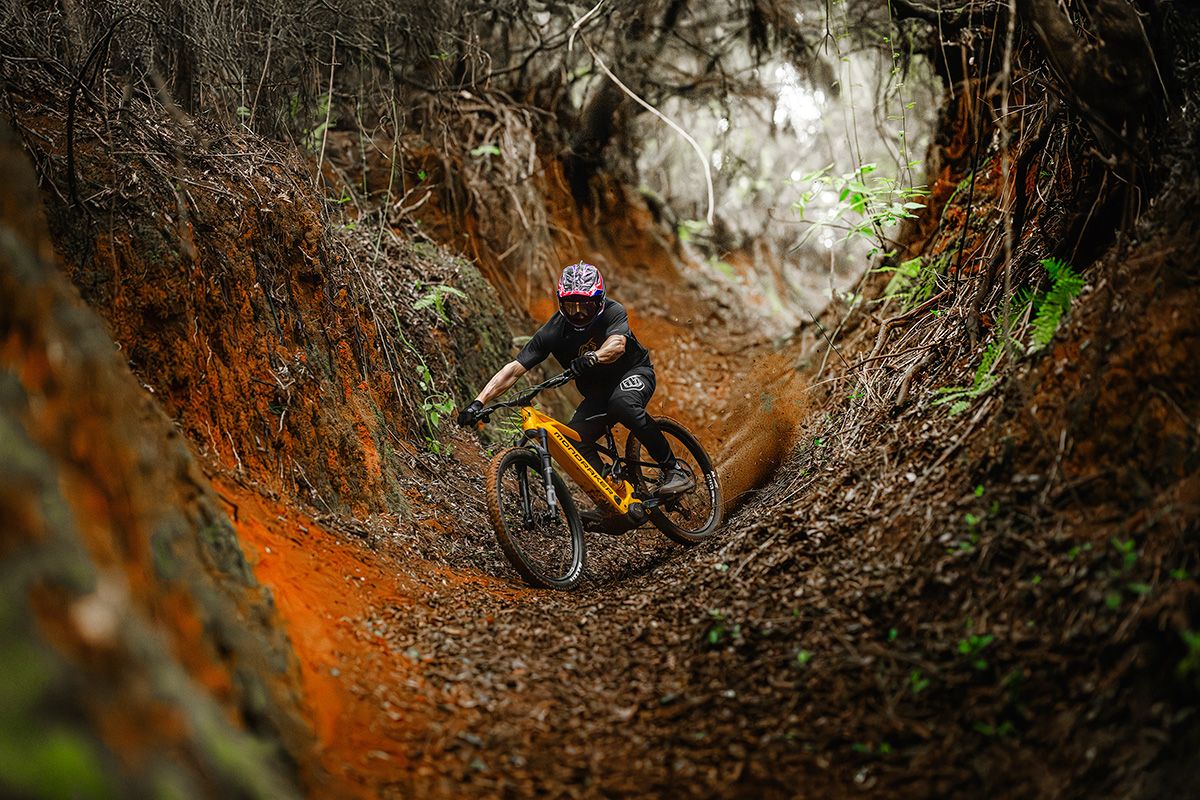 Mondraker Level XR 2026