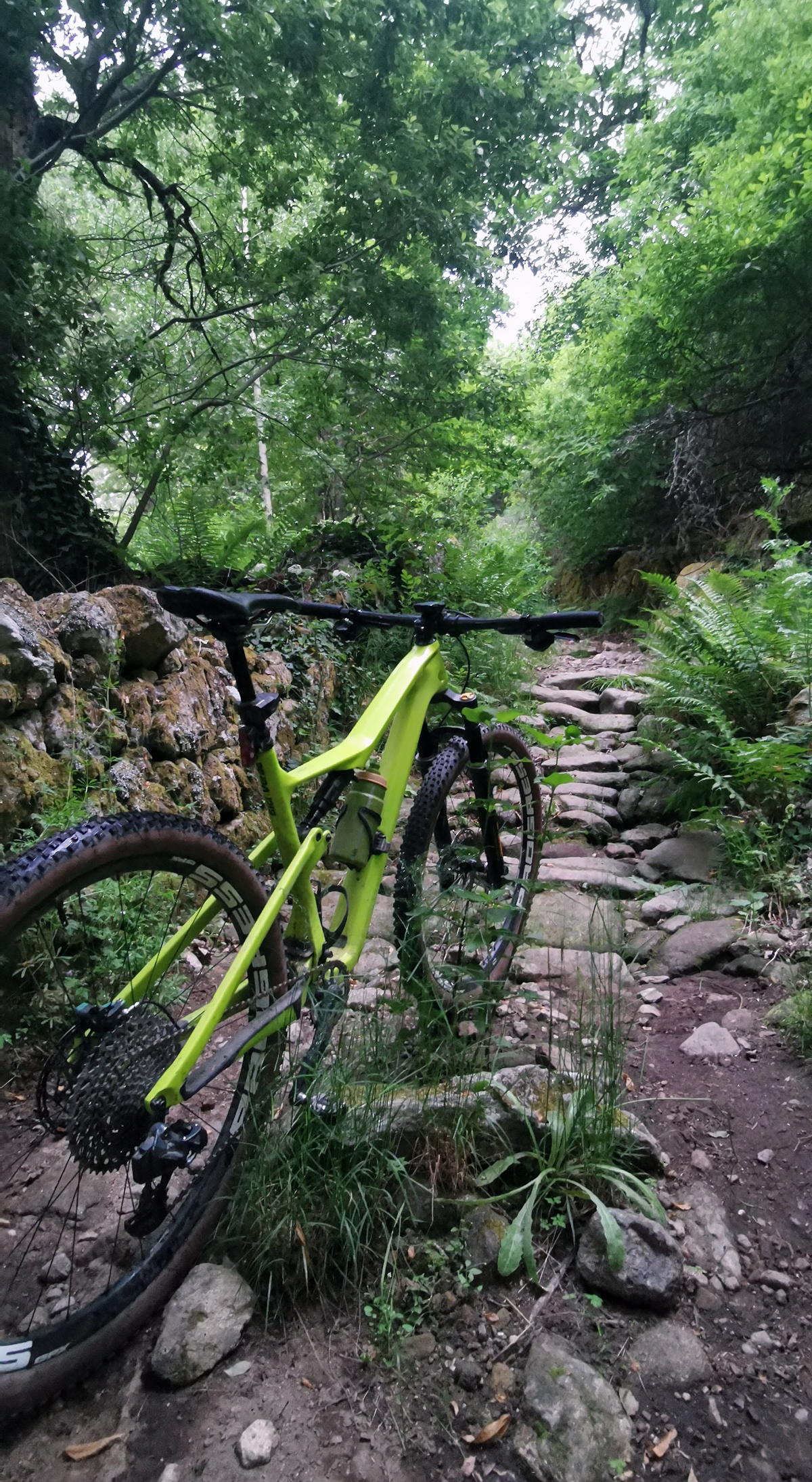 2000 km con las ruedas Progress GPX 2 En ruta