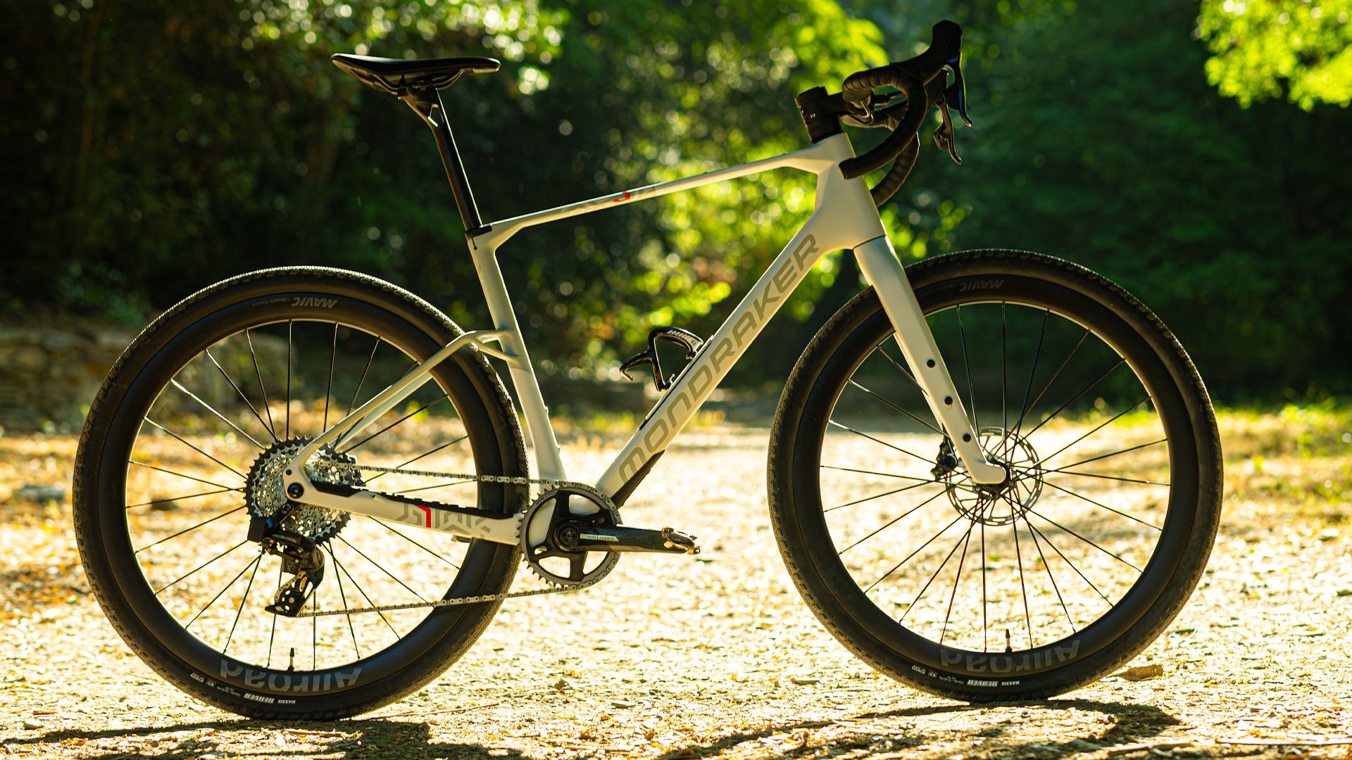 Mondraker Arid Carbon RR