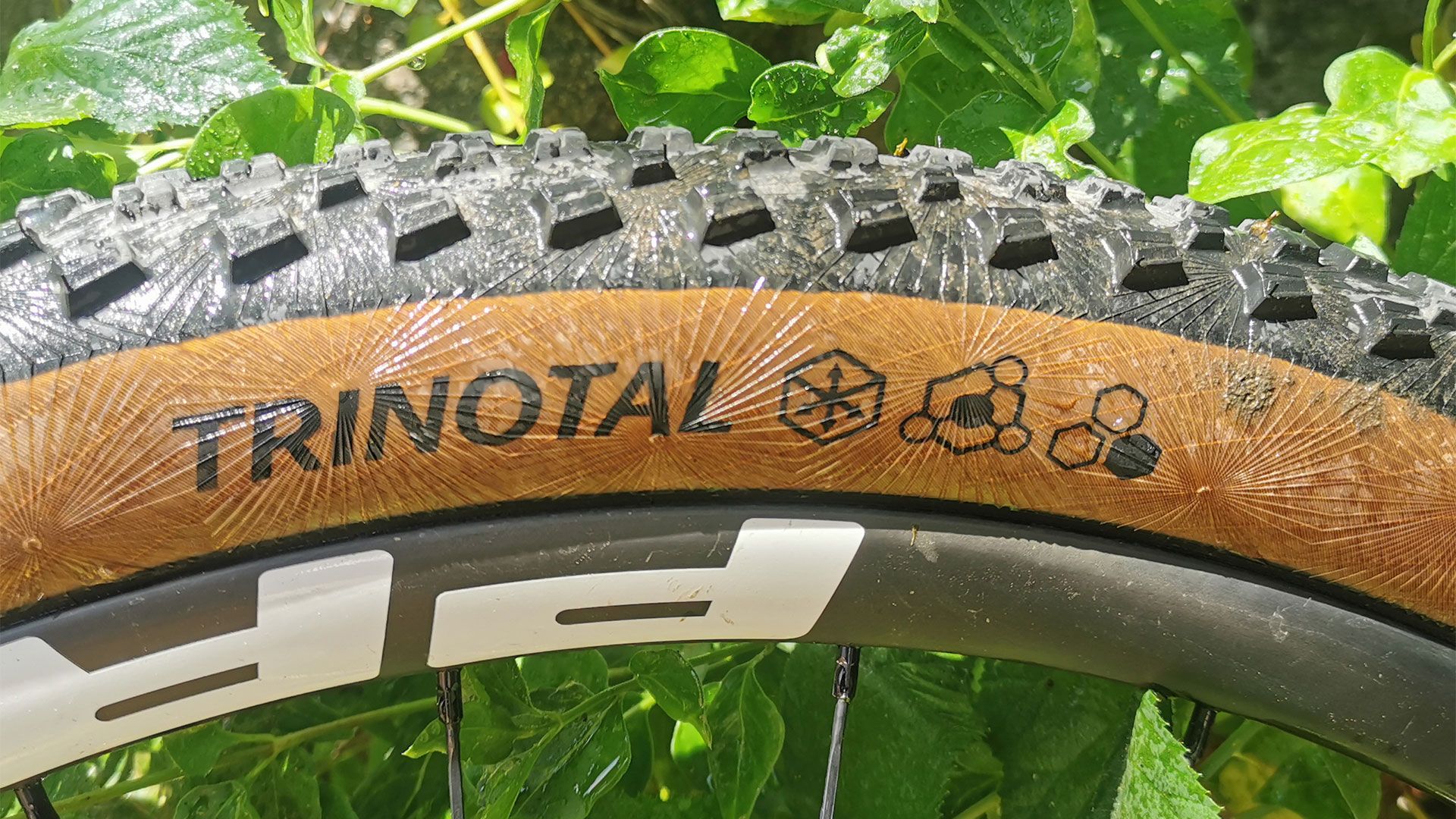 Neumáticos Continental Trinotal