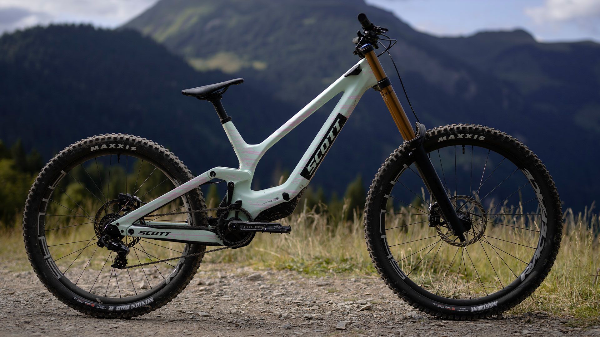 Nueva Scott Gambler 2026