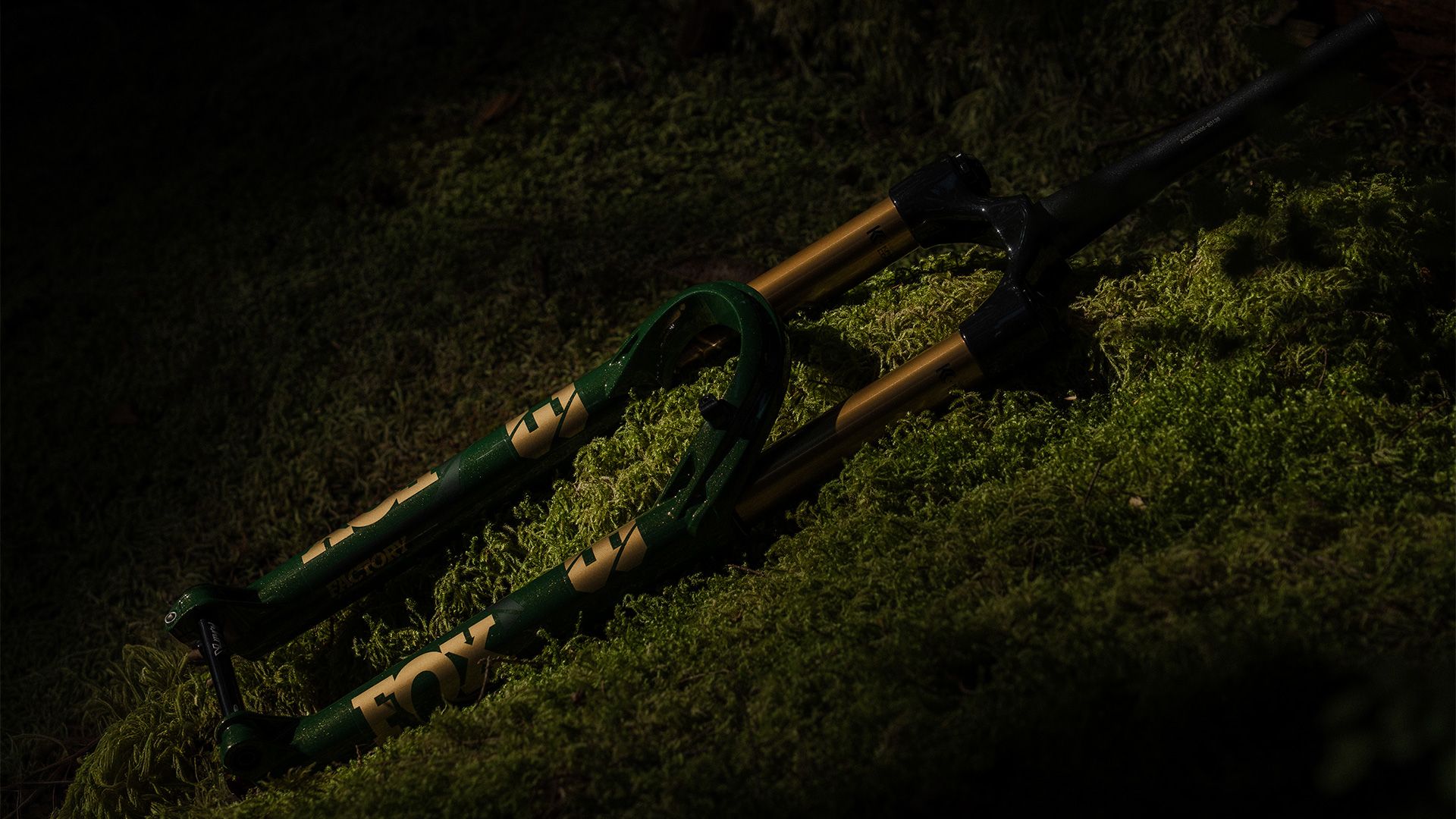 FOX 38 Racing Green Edición Limitada ¡Puede ser tuya gratis!