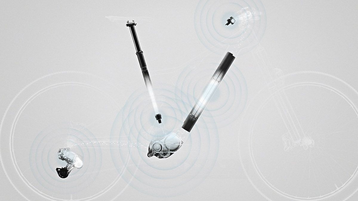Orbea RS Control System  (2)