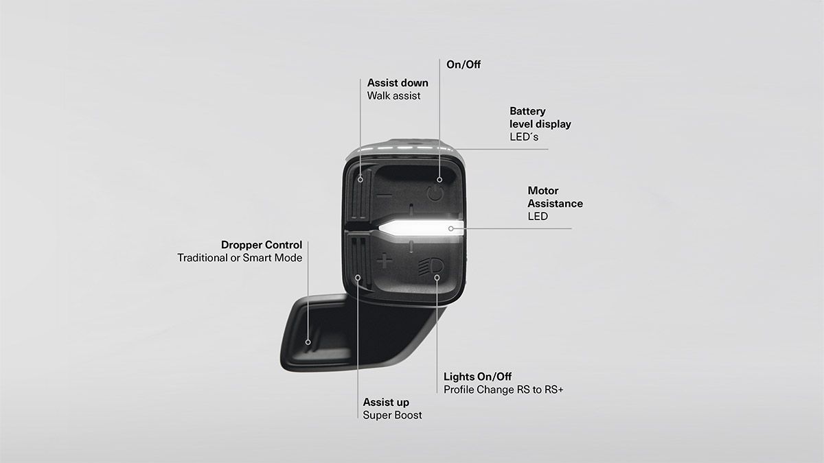 Orbea RS Control System  (3)