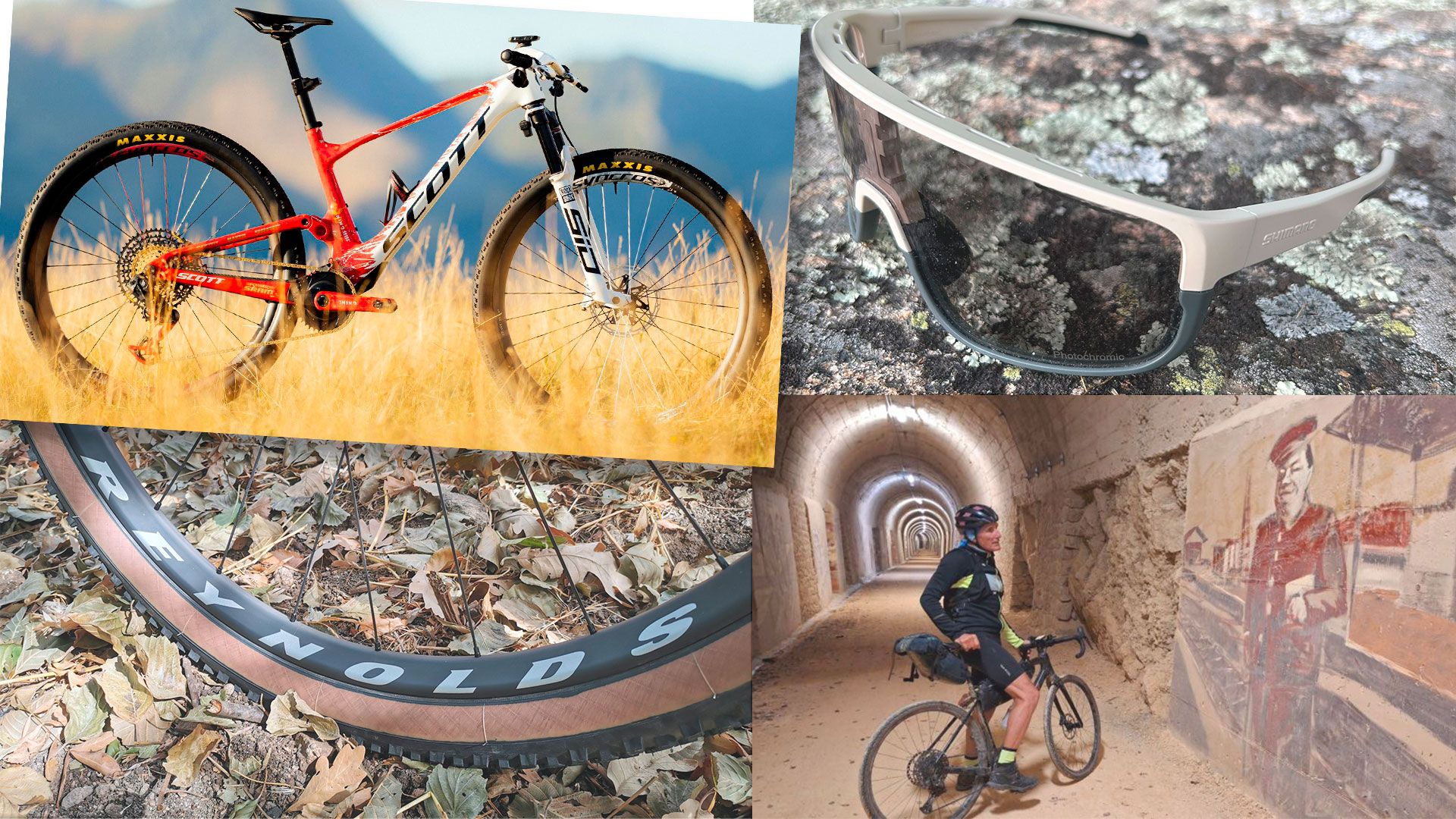 Top 10 MTB