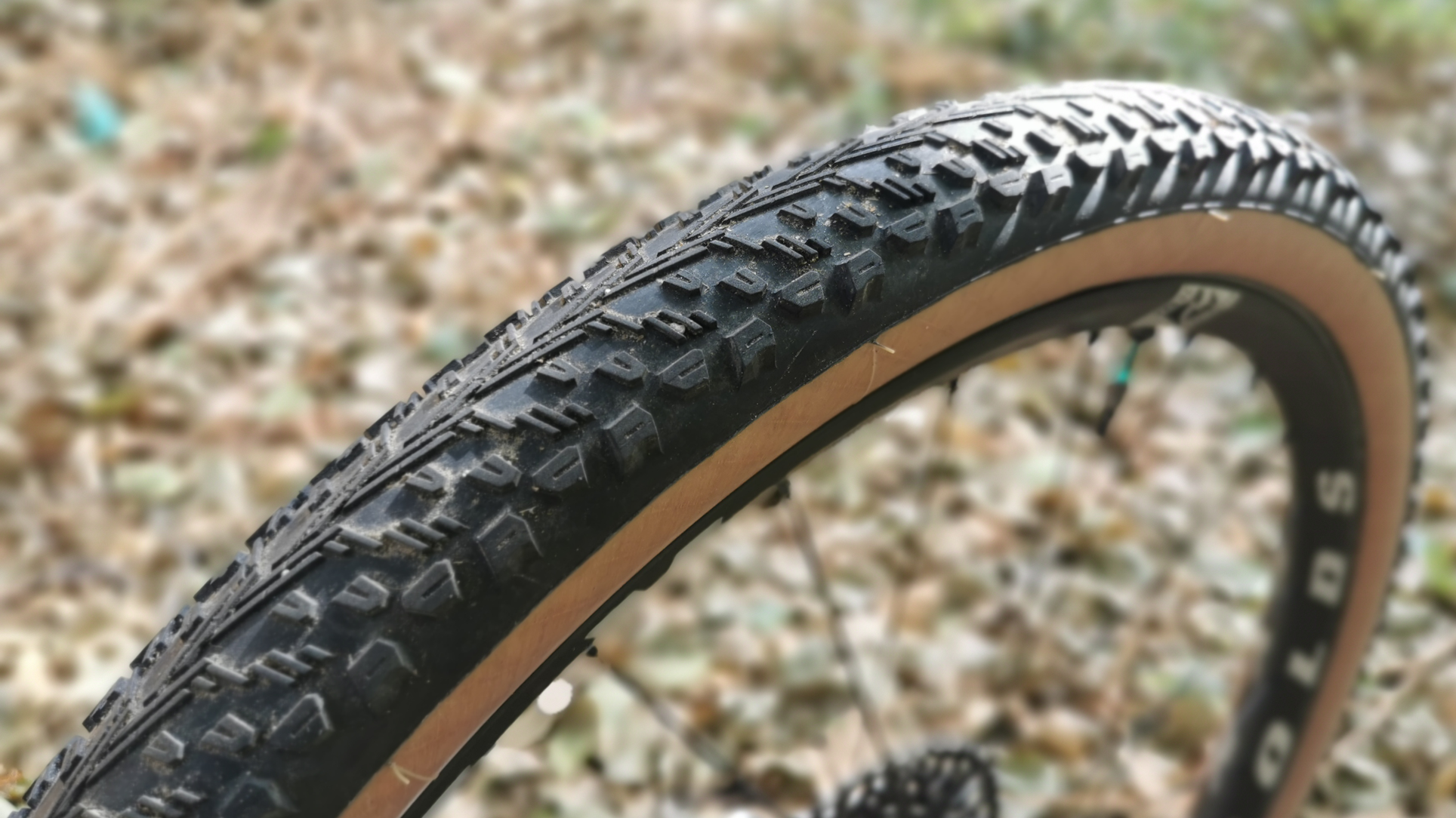 Prueba. Neumáticos Vittoria Peyote 2.25