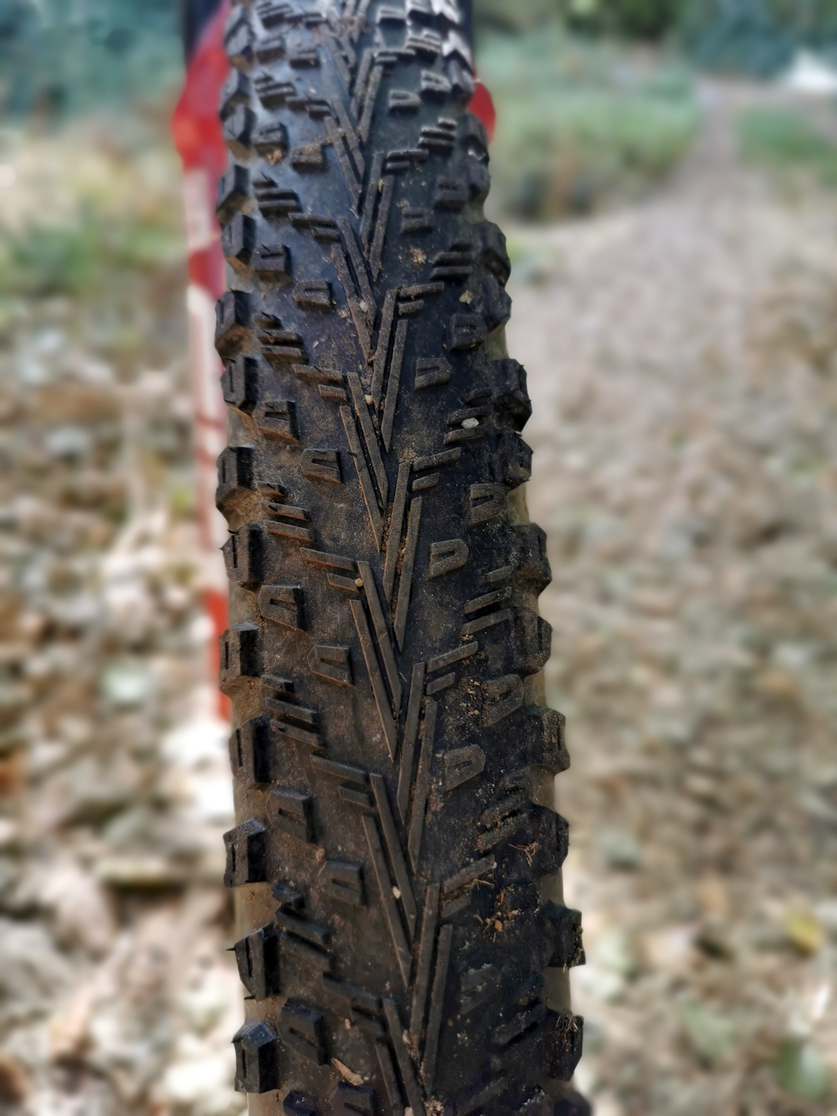 Prueba. Neumáticos Vittoria Peyote 2.25 detalle 4 Prueba. Neumáticos Vittoria Peyote 2.25 detalle 4