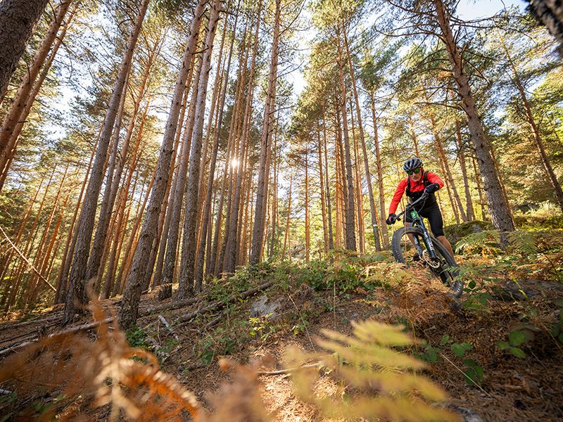 Mtb Soria 529 Mtb Soria 529