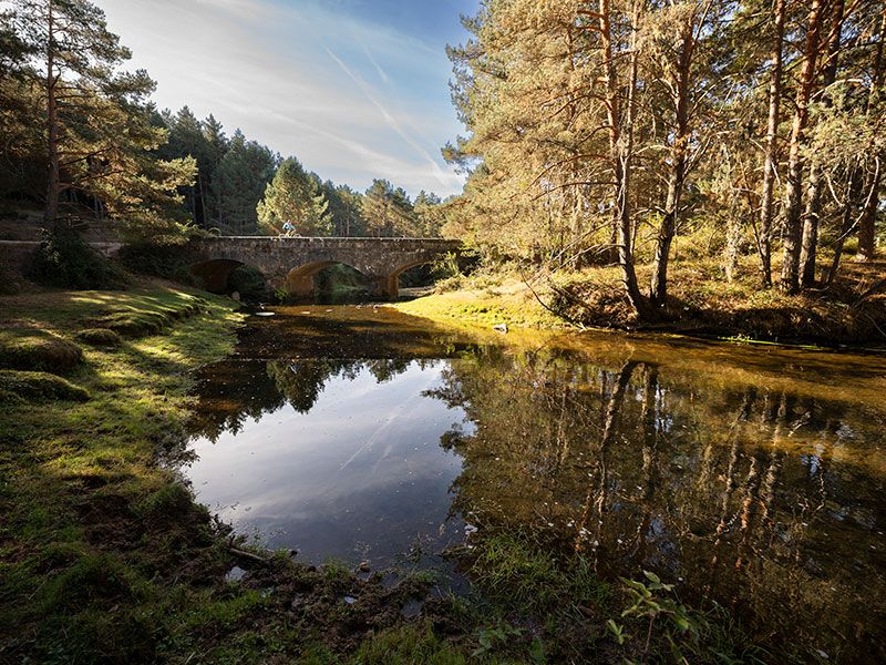 Mtb Soria 531 Mtb Soria 531