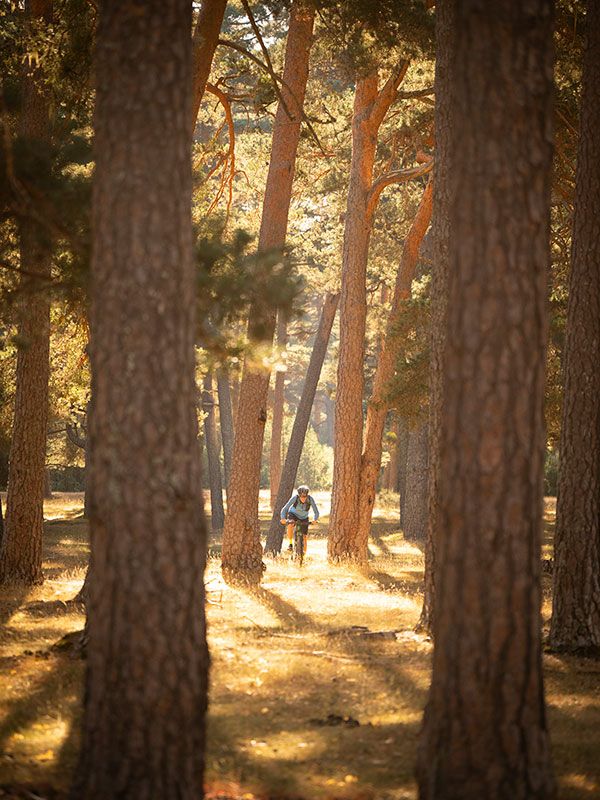 Mtb Soria 530 Mtb Soria 530