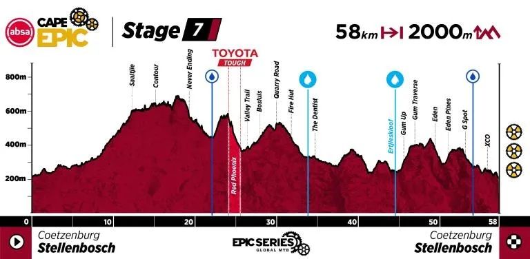 ACE26 Profile Stage 7