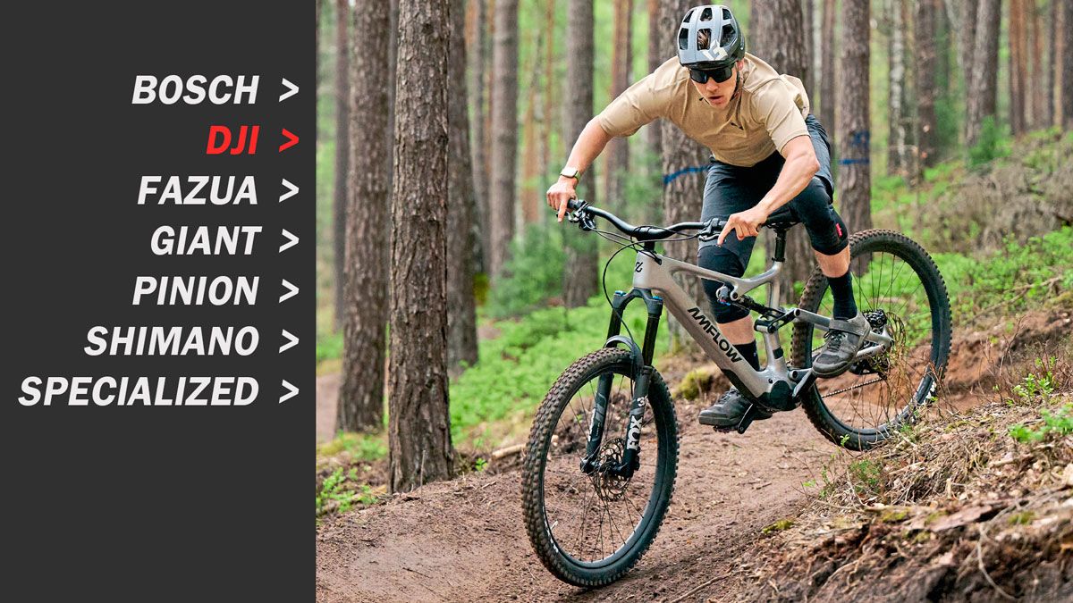 Amflow PL Carbon Amflow PL Carbon