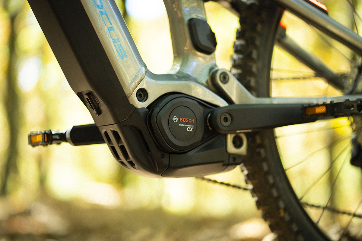 Estudio Focus Thron2 9 (7)