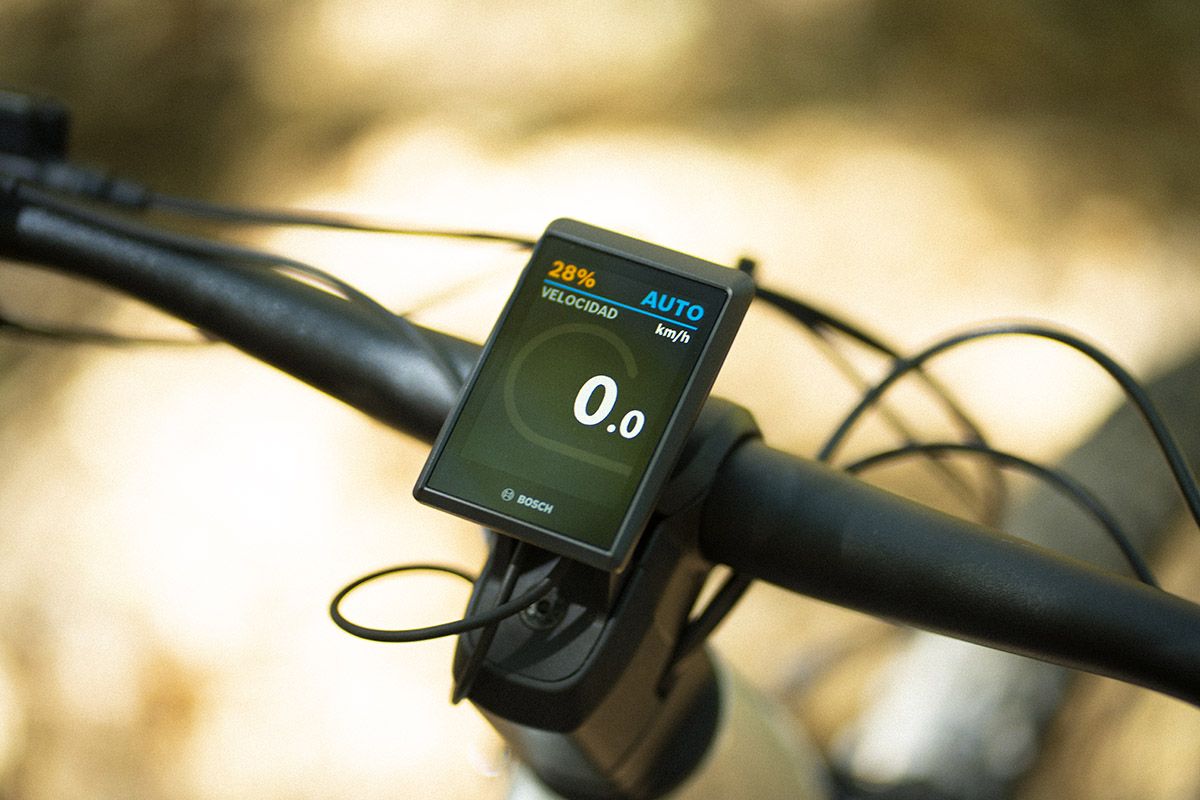 Estudio Focus Thron2 9 (12)