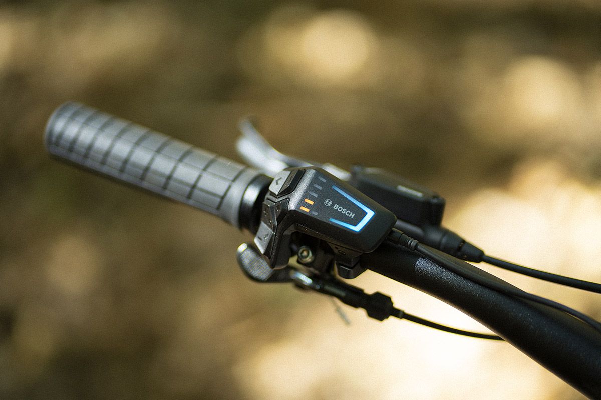 Estudio Focus Thron2 9 (13)