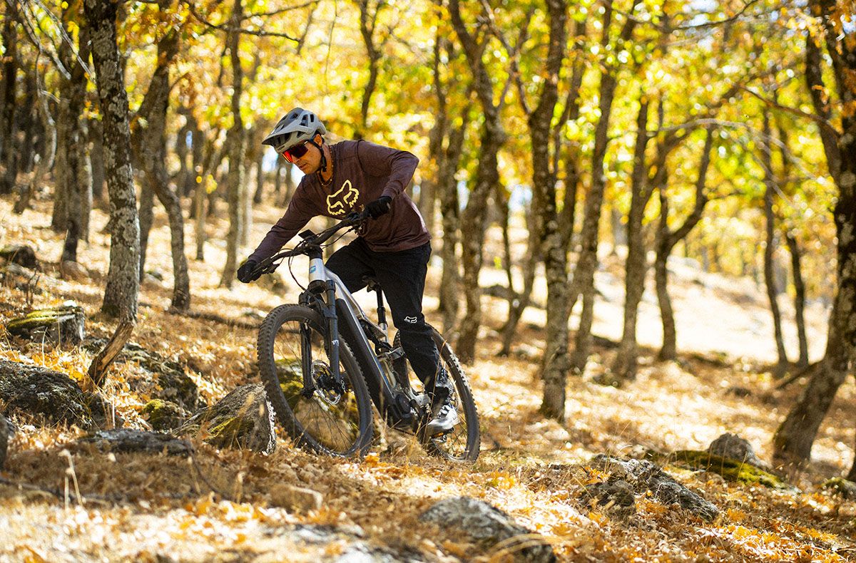 Accion Focus Thron2 9.8 10