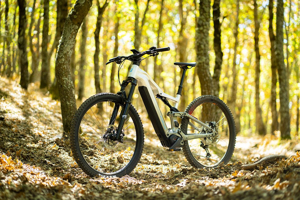 Estudio Focus Thron2 9 (6)