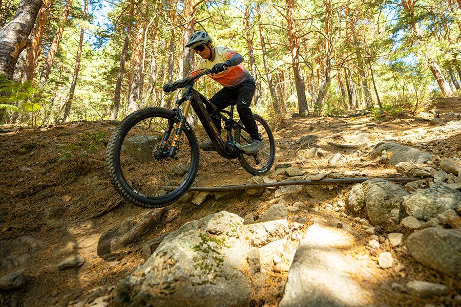 Accion BH iLynx+ NX  (4)