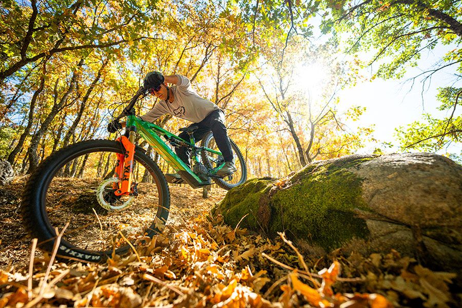 Accion Moustache Game 06